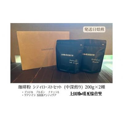 ふるさと納税 飯能市 [上田珈琲豆焙煎堂]珈琲豆中深煎りセット 200g×2種セット[粉]