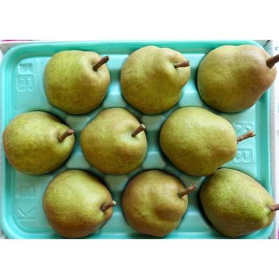 ふるさと納税 上山市 西洋梨(ラフランス)3kg　ご家庭用　0025-2616 |  | 01