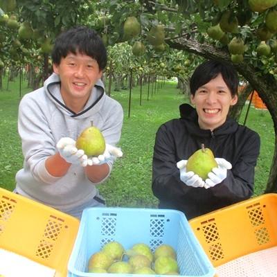 ふるさと納税 上山市 西洋梨(ラフランス)3kg　ご家庭用　0025-2616 |  | 02
