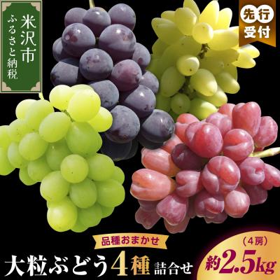 ふるさと納税 米沢市 [先行受付]令和8年産 大粒ぶどう詰合せ 4種類 2.5kg 4房 品種おまかせ