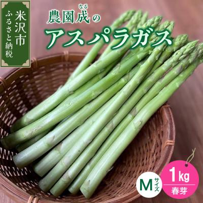 ふるさと納税 米沢市 [ 令和8年産 春芽 ] アスパラガス M 1kg ( 細物 M以下 )