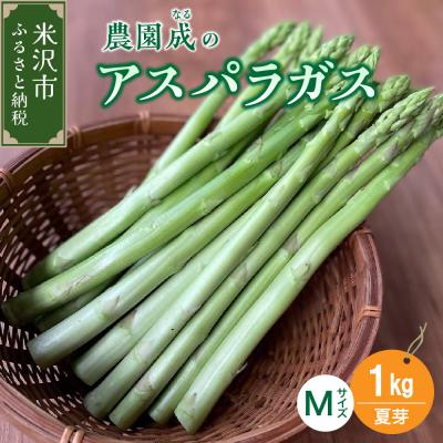 ふるさと納税 米沢市 [先行受付][令和8年産 夏芽]アスパラガスM 1kg(細物M以下)2026年7月中旬頃〜発送予定