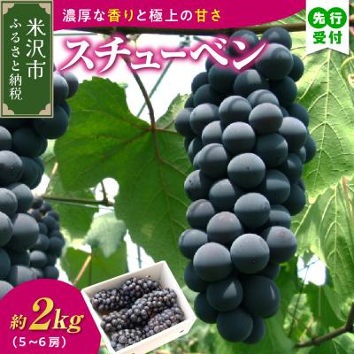 ふるさと納税 米沢市 [先行受付]令和8年産 ぶどう スチューベン ( 種あり ) 2kg ( 5〜6房 )