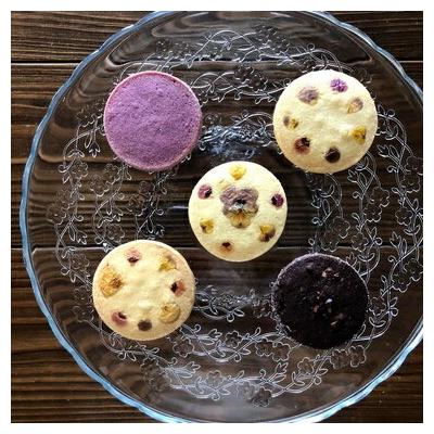 ふるさと納税 玖珠町 Pompon Chouchouの花クッキー