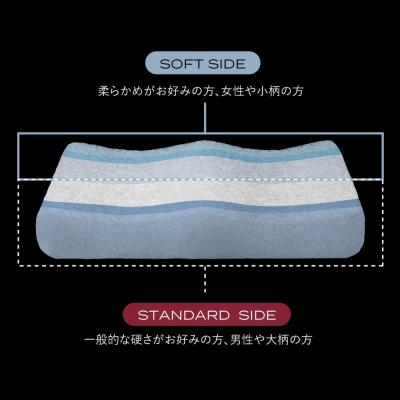 ふるさと納税 玖珠町 ブレインスリープ ピロー スノーレス + カバー