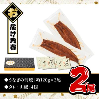 ふるさと納税 曽於市 無投薬!鹿児島県産うなぎ蒲焼セット<定番>(計240g以上・ 約120g×2尾) |  | 01