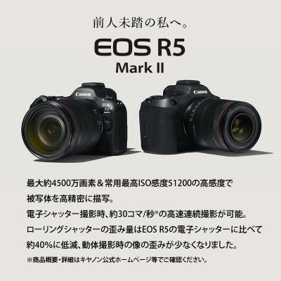 ふるさと納税 大分市 ミラーレスカメラ EOS R5 MarkII・RF24-105 L IS
