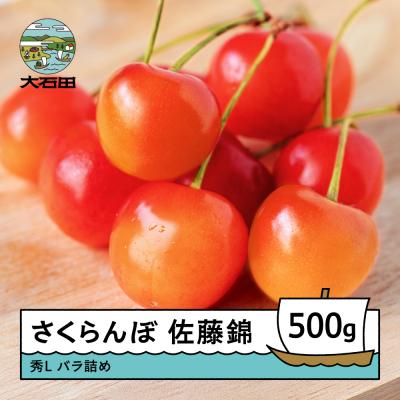 ふるさと納税 大石田町 さくらんぼ 佐藤錦 秀Lサイズ 500g バラ詰め 2026年産 山形県産