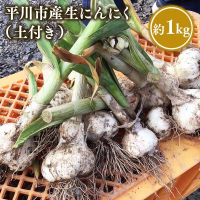 ふるさと納税 平川市 [6月下旬〜7月下旬発送]青森県平川市産 土付き生にんにく約1kg