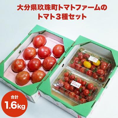 ふるさと納税 玖珠町 大分県玖珠町トマトファームのトマト3種セット