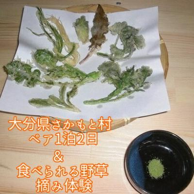ふるさと納税 玖珠町 大分県さかもと村ペア1泊2日&amp;食べられる野草摘み体験
