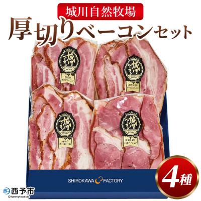 ふるさと納税 西予市 厚切りベーコン4種セット(100g)