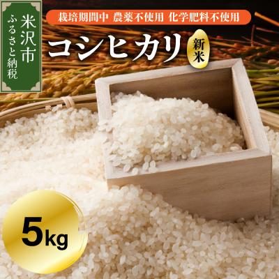 ふるさと納税 米沢市 [令和7年産] コシヒカリ 5kg [栽培期間中農薬不使用・化学肥料不使用]