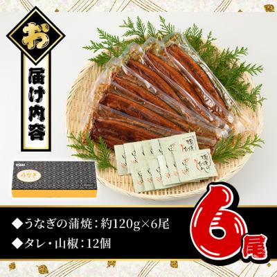 ふるさと納税 曽於市 無投薬!鹿児島県産うなぎ蒲焼セット<定番>(計720g・ 約120g×6尾) タレ・山椒付き |  | 01