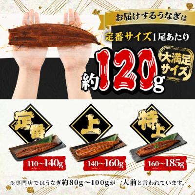 ふるさと納税 曽於市 無投薬!鹿児島県産うなぎ蒲焼セット<定番>(計720g・ 約120g×6尾) タレ・山椒付き |  | 02