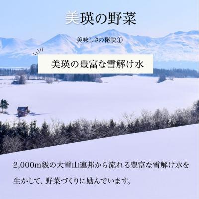 ふるさと納税 美瑛町 【令和9年産 先行予約】野菜 定期便 4回便 美瑛の四季〜白樺(小)〜 |  | 01