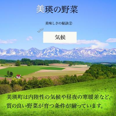 ふるさと納税 美瑛町 【令和9年産 先行予約】野菜 定期便 4回便 美瑛の四季〜白樺(小)〜 |  | 02