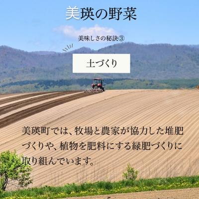 ふるさと納税 美瑛町 【令和9年産 先行予約】野菜 定期便 4回便 美瑛の四季〜白樺(小)〜 |  | 03
