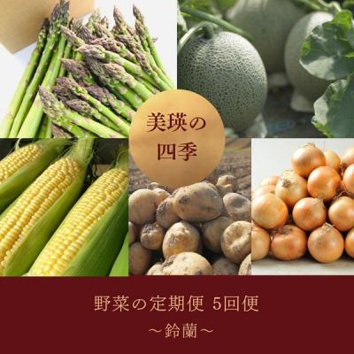 ふるさと納税 美瑛町 野菜の定期便[鈴蘭]5回便[令和8年産先行受付!] 美瑛の四季