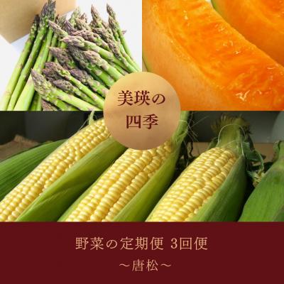 ふるさと納税 美瑛町 [令和8年産先行受付!]〜美瑛の四季〜 野菜の定期便[唐松]3回便