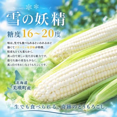 ふるさと納税 美瑛町 とうもろこし (ほしつぶコーン&雪の妖精) 各6本 計12本【令和9年産先行受付】北海道 黒木農場 |  | 01