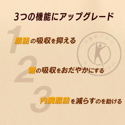 ふるさと納税 蔵王町 【2か月連続お届け】からだすこやか茶W　350ml PET×24本　【04301-0690】_1