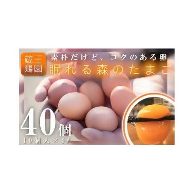 ふるさと納税 蔵王町 眠れる森のたまご 朝採れ卵40個 [04301-0324]