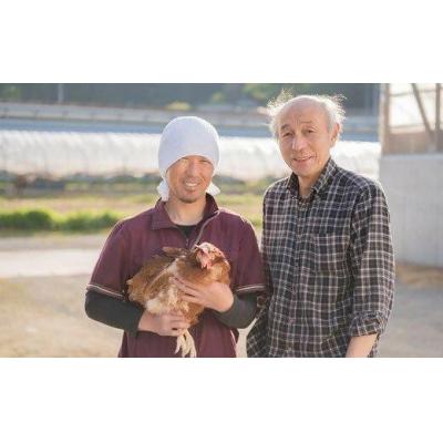 ふるさと納税 蔵王町 眠れる森のたまご　朝採れ卵40個  【04301-0324】 |  | 02