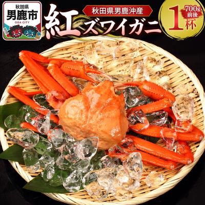 ふるさと納税 男鹿市 男鹿沖産紅ズワイガニ 700g 前後×1杯 男鹿なび 蟹 国産 秋田|23_ogn-170101