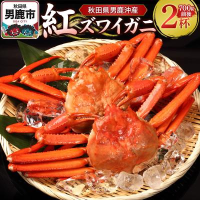 ふるさと納税 男鹿市 男鹿沖産紅ズワイガニ 700g 前後×2杯 男鹿なび 蟹 国産 秋田|23_ogn-170201 | 