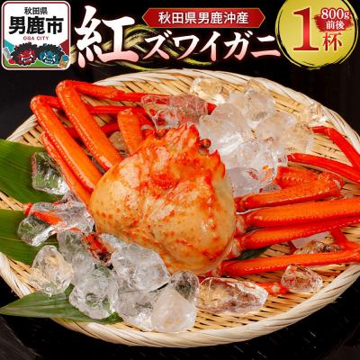 ふるさと納税 男鹿市 男鹿沖産紅ズワイガニ 800g 前後×1杯 男鹿なび 蟹 国産 秋田|23_ogn-180101 | 