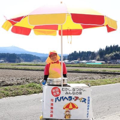 ふるさと納税 男鹿市 ババヘラ・アイス&キャンデーセット【進藤冷菓