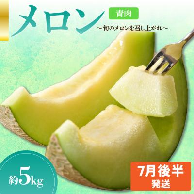 ふるさと納税 五所川原市 先行受付[2026年7月後半発送][秀〜優品]津軽平野のメロン 約5kg程度(青肉)