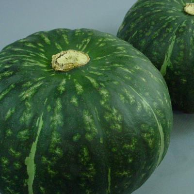 ふるさと納税 美瑛町 ≪令和7年産先行受付!≫おおとり 冬至用南瓜