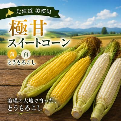 ふるさと納税 美瑛町 【令和9年産 先行予約】野菜の定期便 4回便 アスパラ とうもろこし じゃがいも 玉ねぎ おおとり |  | 02