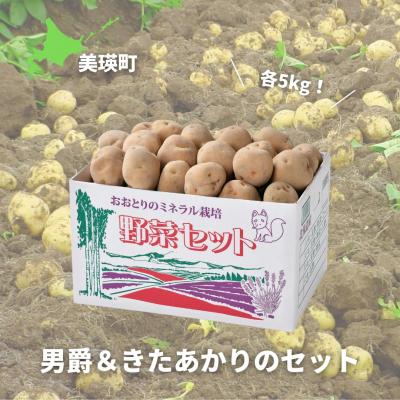 ふるさと納税 美瑛町 じゃがいも ≪令和7年産先行受付!≫おおとり 男爵&amp;きたあかりのセット(各5kg)