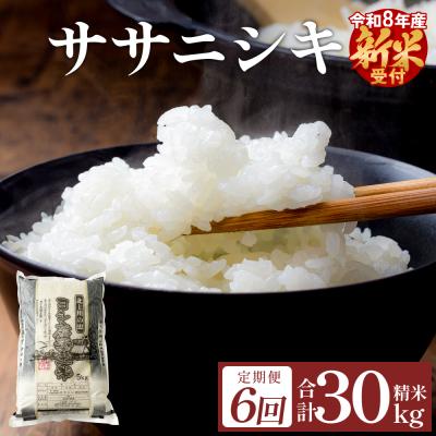 ふるさと納税 石巻市 [先行受付][定期便6回] 米 令和8年産 ササニシキ 精米 30kg (5kg×6) 新米 こめ