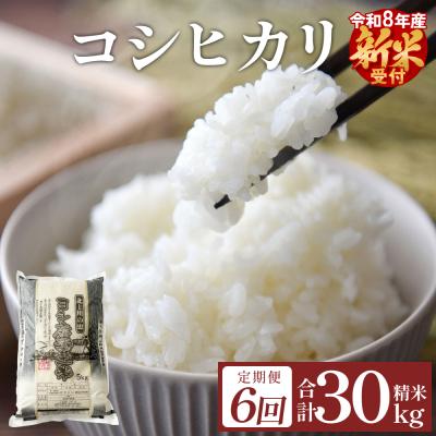 ふるさと納税 石巻市 [先行受付] [定期便6回] 米 令和8年産 コシヒカリ 精米 30kg (5kg×6) 新米 こめ