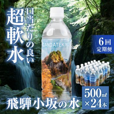 ふるさと納税 下呂市 先行受付[定期便 6回]飛騨小坂の水 500ml×24本(1箱24本入り)× 6カ月[110-B]