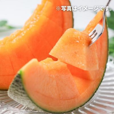 ふるさと納税 美瑛町 メロン 2玉≪令和8年産先行受付!≫美景農園