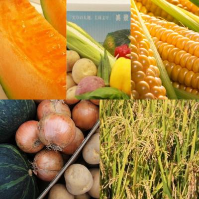 ふるさと納税 美瑛町 野菜 定期便 (5回)≪令和8年産先行受付!≫美景農園