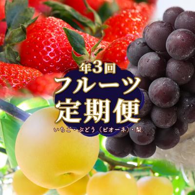 ふるさと納税 佐川町 フルーツ定期便(全3回)[いちご・ピオーネ・梨]