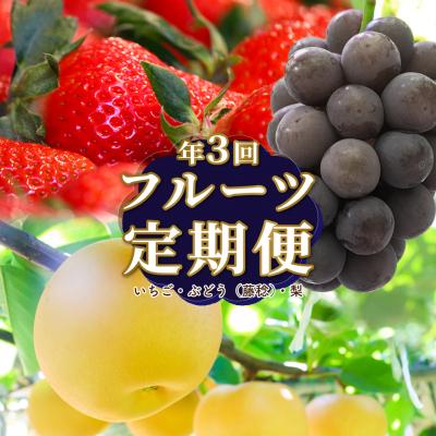 ふるさと納税 佐川町 フルーツ定期便(全3回) [いちご・藤稔・梨]