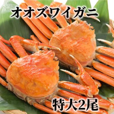 ふるさと納税 紋別市 北海道産 特大ボイルオオズワイガニ姿 2尾 計1.5