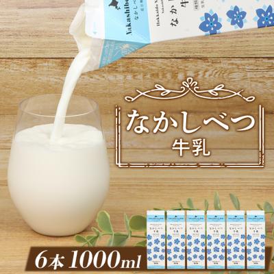 ふるさと納税 中標津町 北海道なかしべつ牛乳 1L×6本【1402603