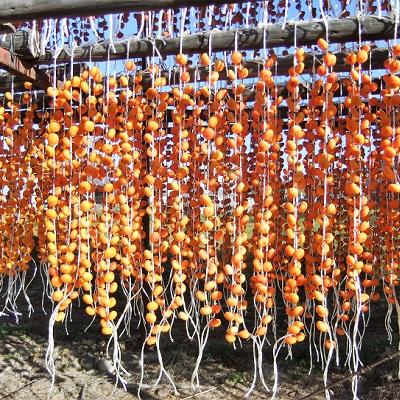 ふるさと納税 上山市 蔵王つるし柿 200g×4パック