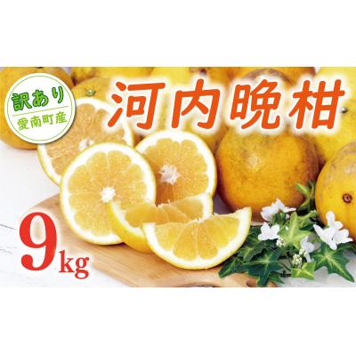 ふるさと納税 愛南町 訳あり 河内晩柑 樹齢 20年以上 9kg (Lサイズ以上) くらもとファーム 愛南町 愛媛県