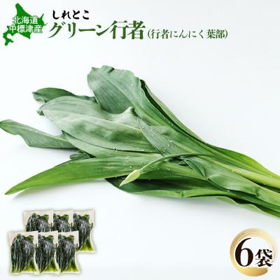 ふるさと納税 中標津町 行者にんにくグリーン行者×6袋 (葉部)[20011]