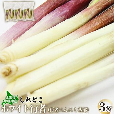 ふるさと納税 中標津町 行者にんにくホワイト行者×3袋(茎部)[20012]
