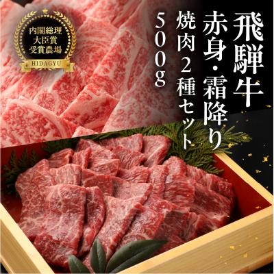 ふるさと納税 下呂市 飛騨牛ロース・赤身焼肉セット(ロース200g・赤身300g)計 500g[冷凍配送][22-44]